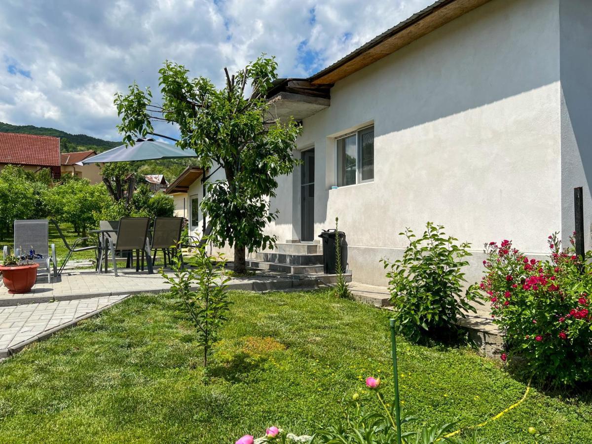 Casuta De Vacanta Vila Călimăneşti Exterior foto